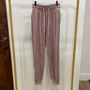 Express Velour Joggers